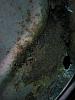 Clic en la imagen para ver su versin completa. 

Nombre: nov 2012 834.jpg 
Visitas: 540 
Tamao: 69.2 KB 
ID: 32601