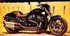 Harley Davison Nithg ROD Special