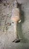 Clic en la imagen para ver su versin completa. 

Nombre: IMAG0032.jpg 
Visitas: 116 
Tamao: 149.9 KB 
ID: 34519