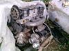 Clic en la imagen para ver su versin completa. 

Nombre: Colector turbo 1.2.jpg 
Visitas: 723 
Tamao: 246.7 KB 
ID: 34791