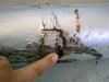 Clic en la imagen para ver su versin completa. 

Nombre: image.jpg 
Visitas: 436 
Tamao: 64.4 KB 
ID: 37429