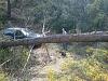 Clic en la imagen para ver su versin completa. 

Nombre: IMG-20130929-WA0010.jpg 
Visitas: 972 
Tamao: 167.9 KB 
ID: 38974