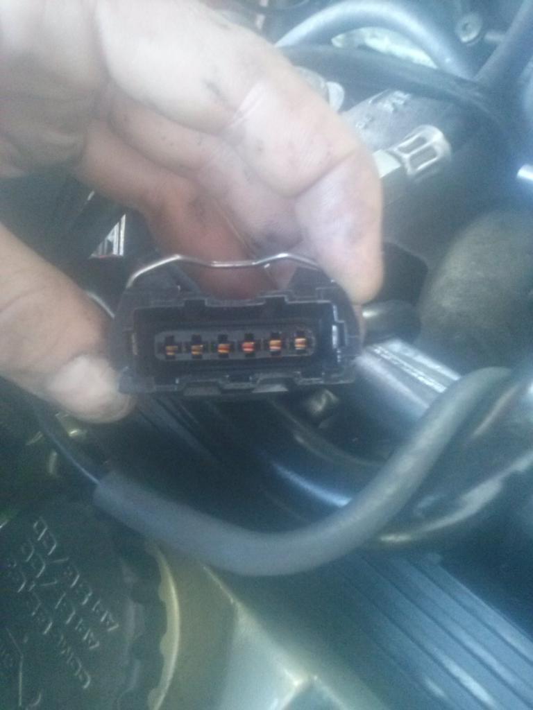 conector 6 pines de tps