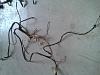 Clic en la imagen para ver su versin completa. 

Nombre: 2014-06-20 20.54.55.jpg 
Visitas: 315 
Tamao: 127.0 KB 
ID: 44876
