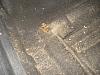 Clic en la imagen para ver su versin completa. 

Nombre: DSC05344.jpg 
Visitas: 308 
Tamao: 166.2 KB 
ID: 47533