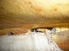 Clic en la imagen para ver su versin completa. 

Nombre: PC280193.jpg 
Visitas: 220 
Tamao: 111.4 KB 
ID: 48187