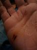 Clic en la imagen para ver su versin completa. 

Nombre: IMG-20150608-WA0005.jpg 
Visitas: 180 
Tamao: 45.9 KB 
ID: 50166