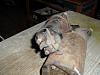 Clic en la imagen para ver su versin completa. 

Nombre: SAM_07433.jpg 
Visitas: 589 
Tamao: 104.3 KB 
ID: 53856